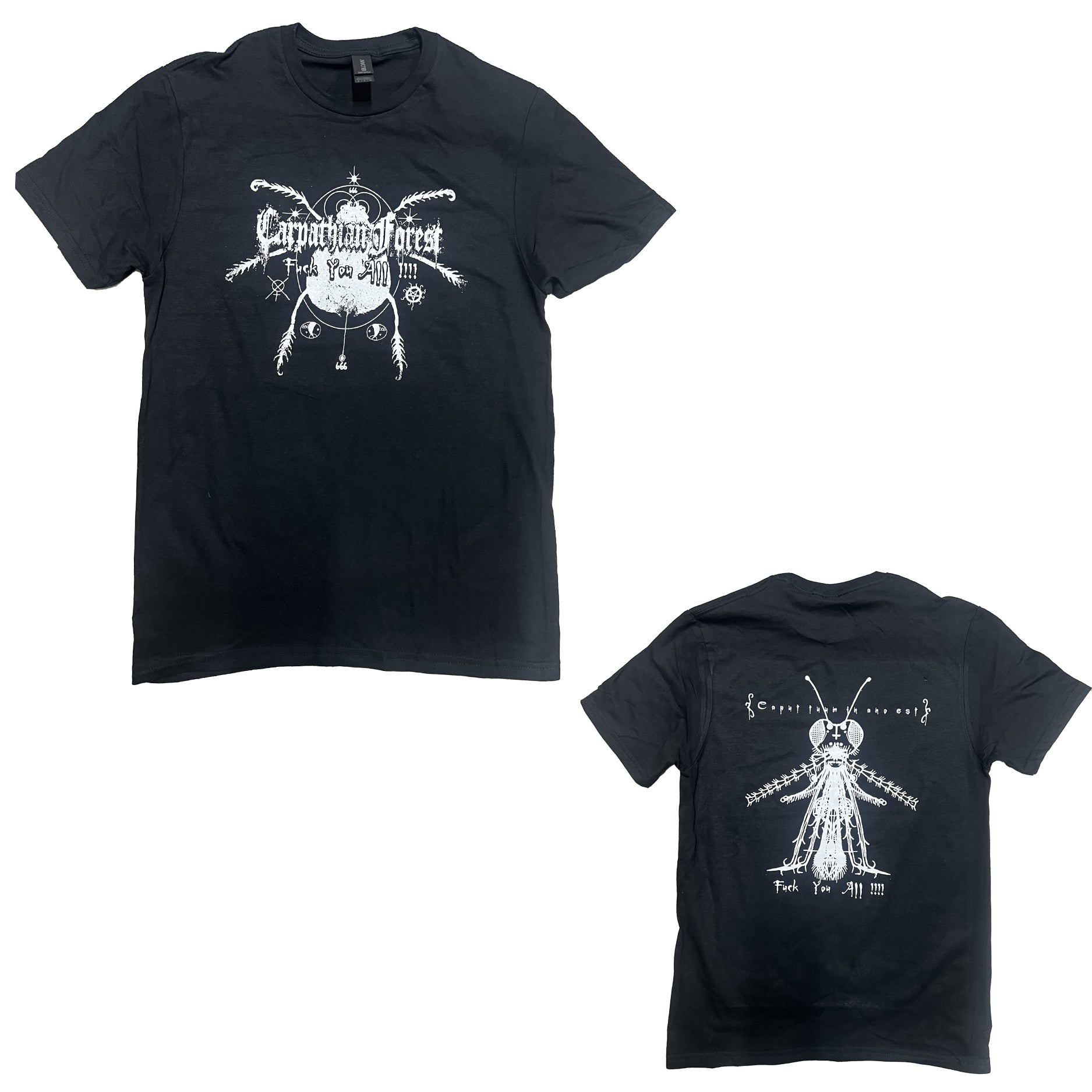 Carpathian Forest-Insects