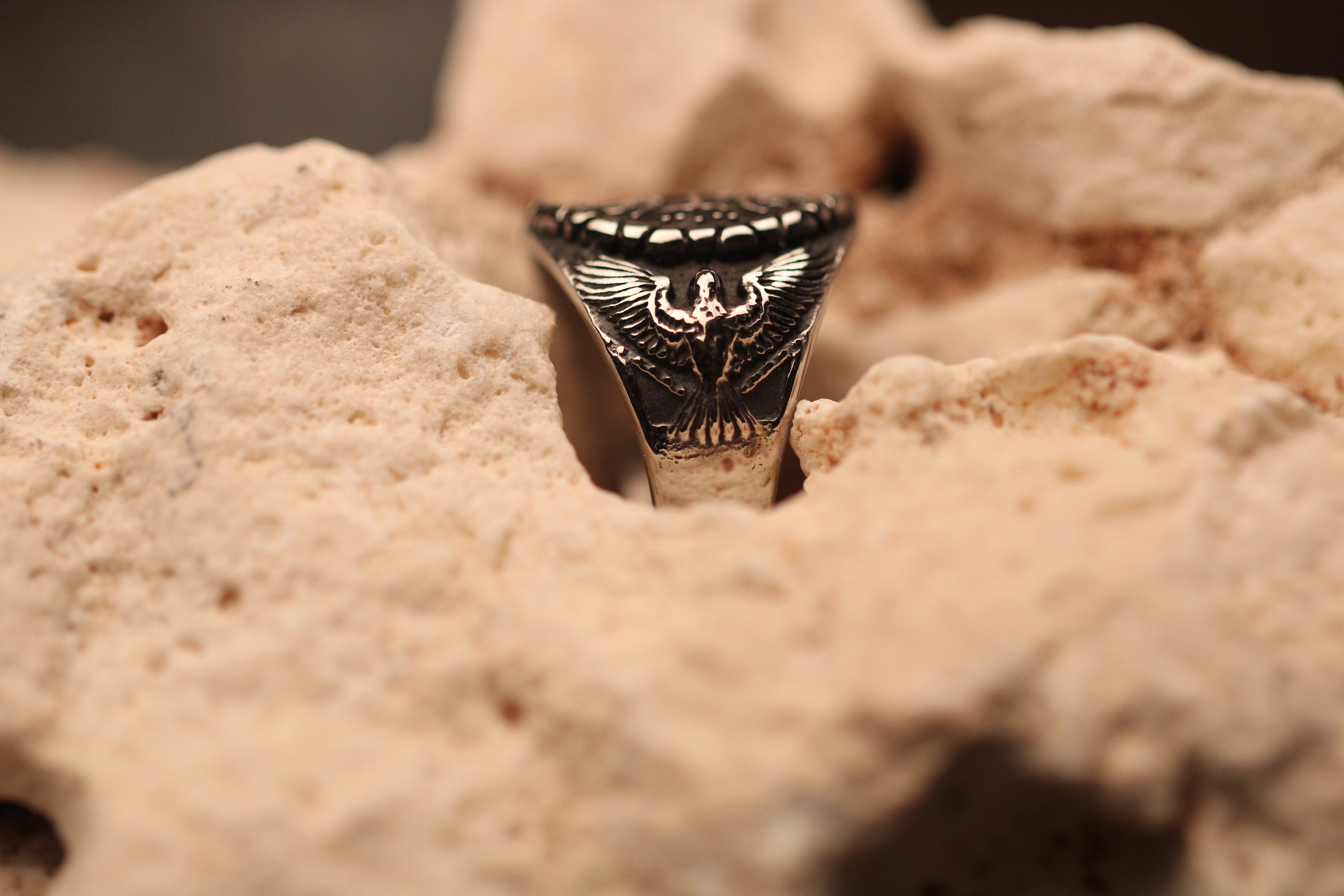 Hugin & Munin Compass