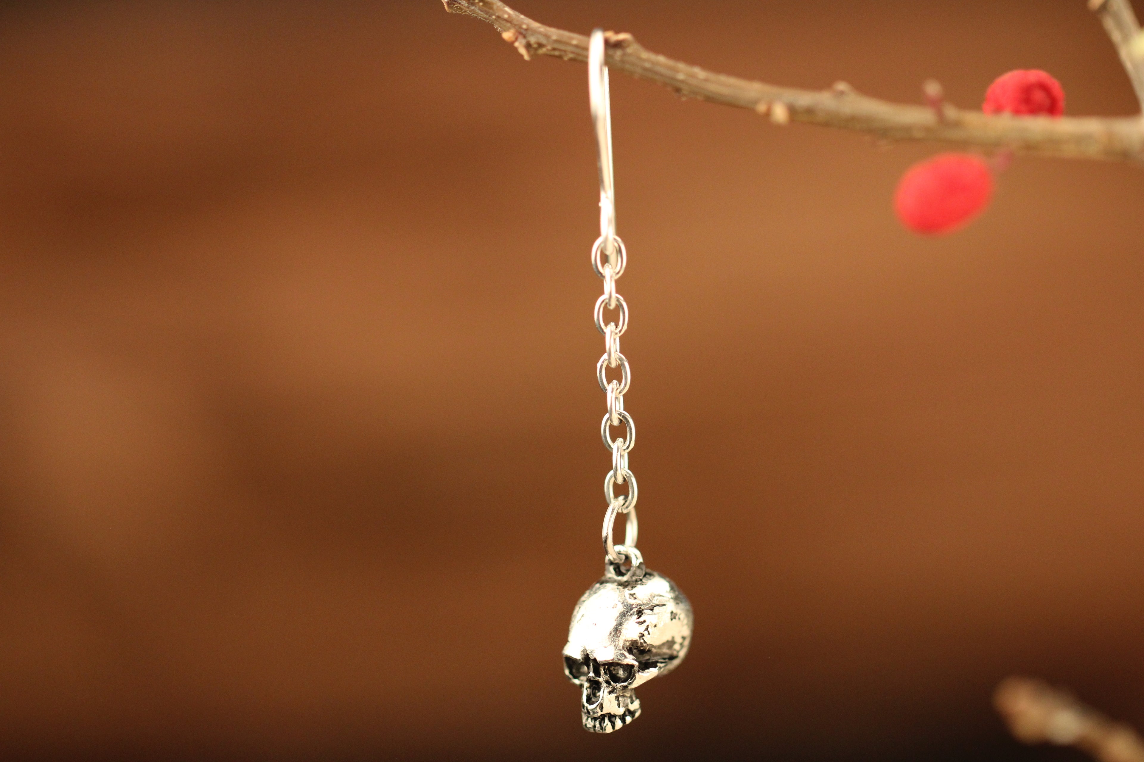 Skull On a Chain