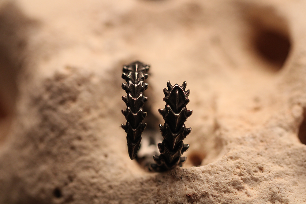 Lizard Spine